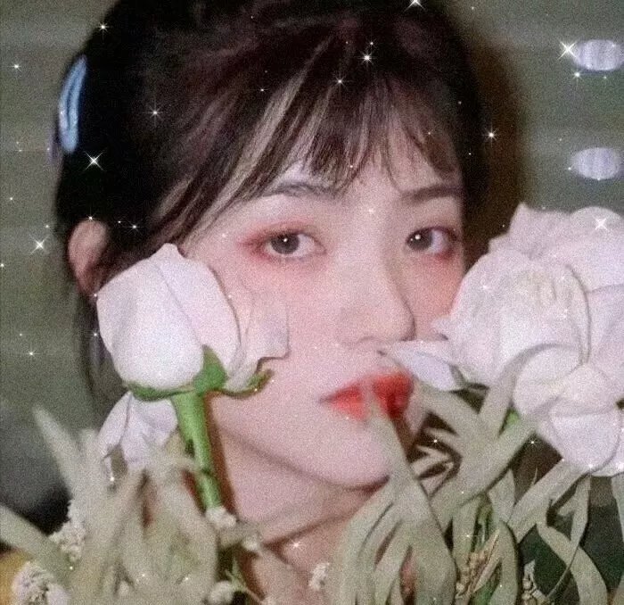 无憾爱别离