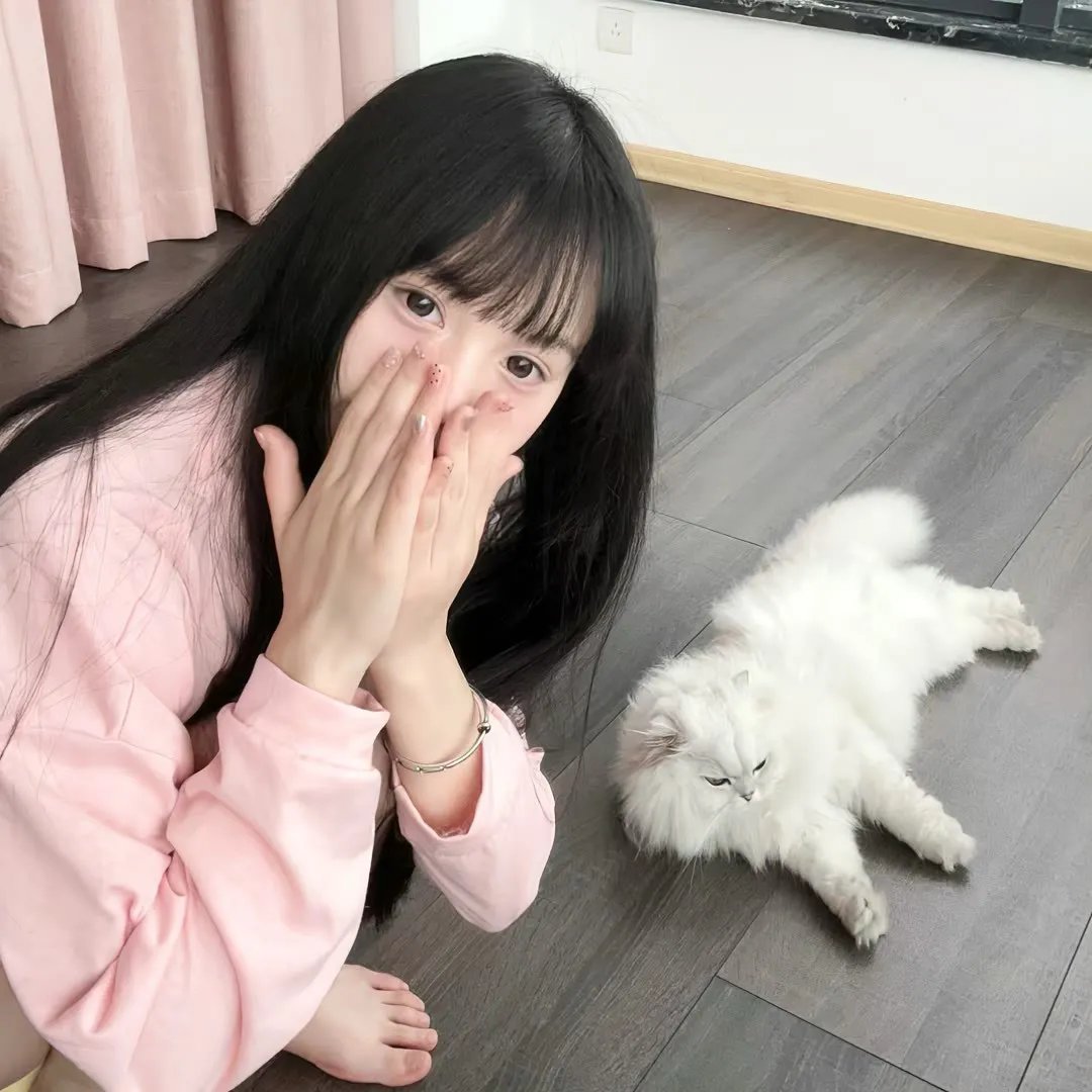 非洲大猫